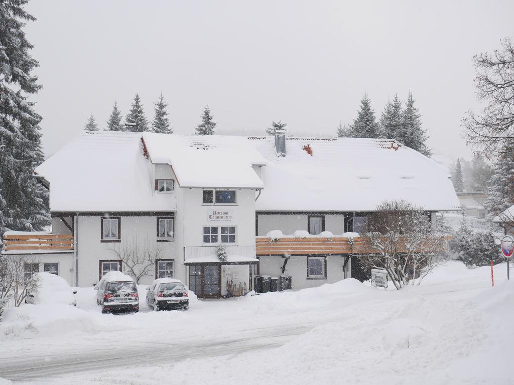 Pension Tannenheim Schluchsee Luaran gambar