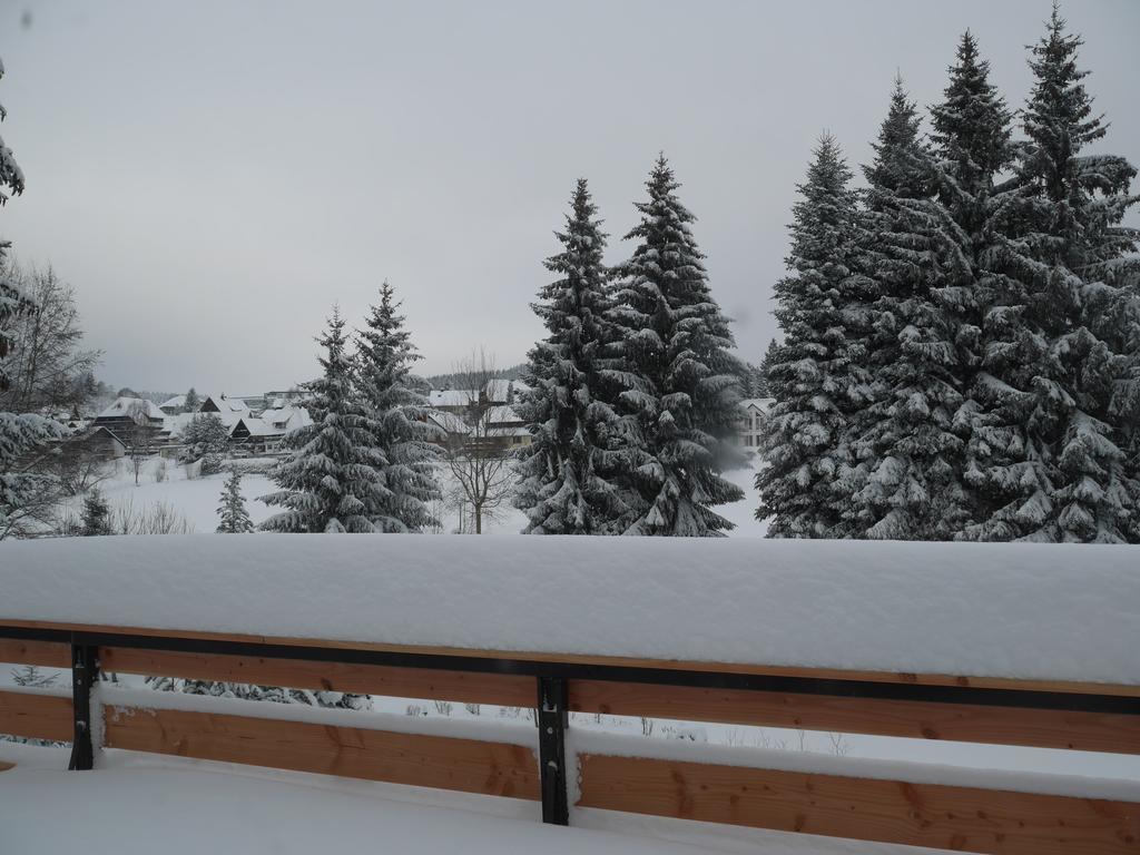 Pension Tannenheim Schluchsee Luaran gambar