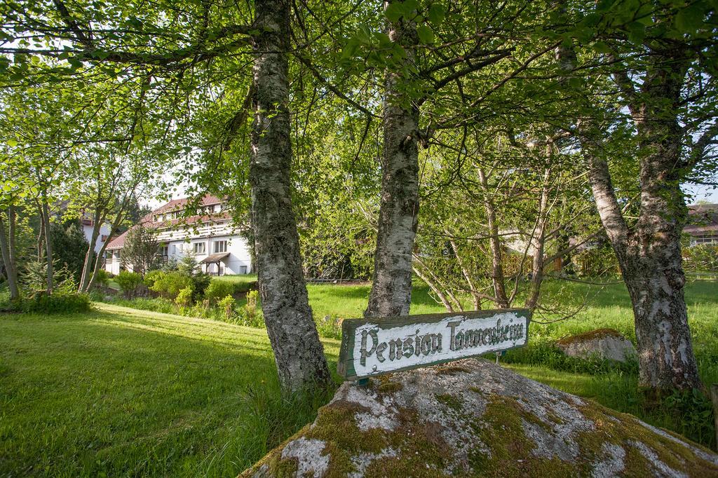 Pension Tannenheim Schluchsee Luaran gambar