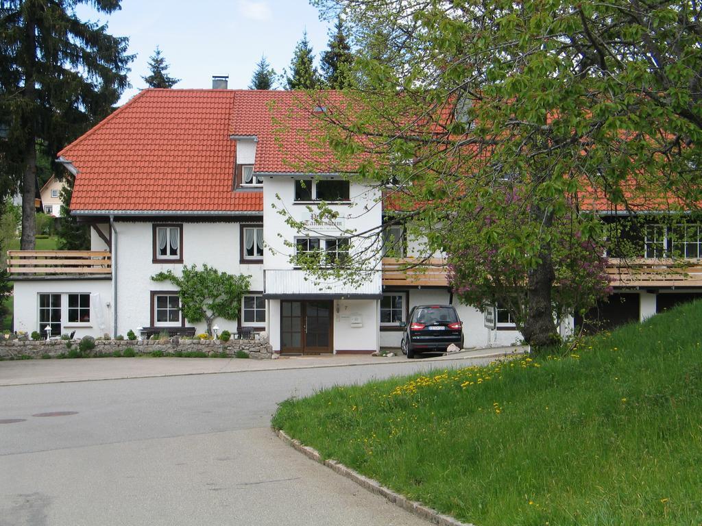 Pension Tannenheim Schluchsee Luaran gambar