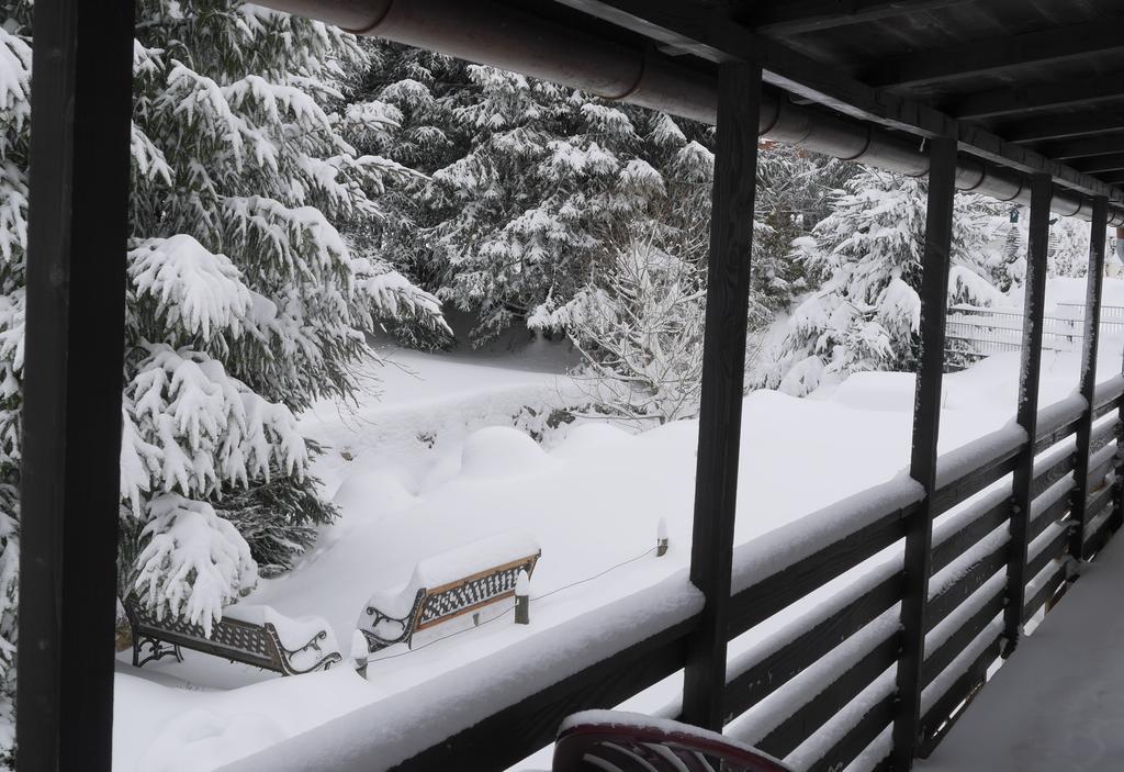 Pension Tannenheim Schluchsee Luaran gambar