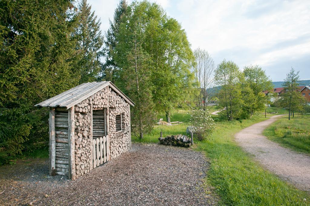 Pension Tannenheim Schluchsee Luaran gambar