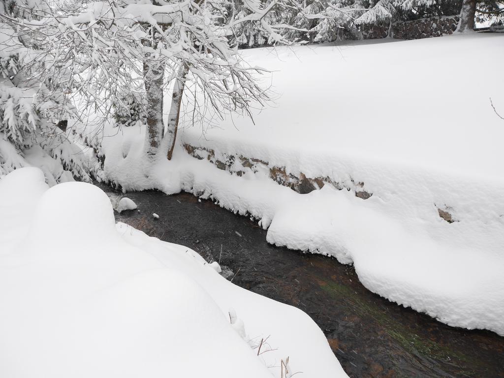 Pension Tannenheim Schluchsee Luaran gambar