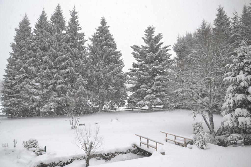 Pension Tannenheim Schluchsee Luaran gambar
