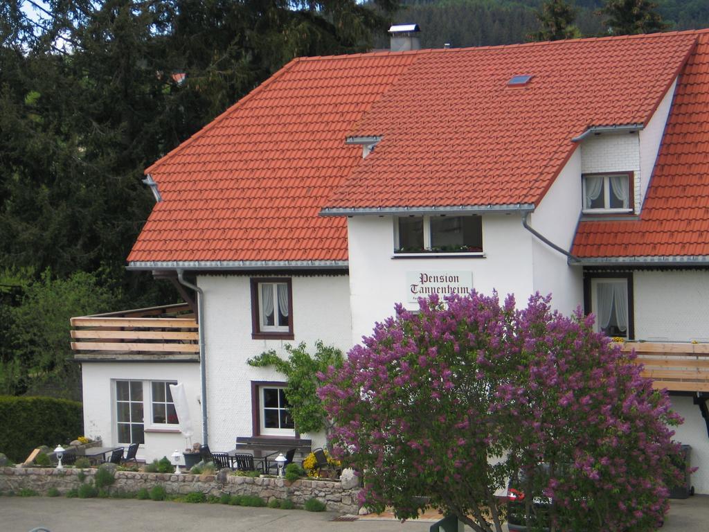 Pension Tannenheim Schluchsee Luaran gambar