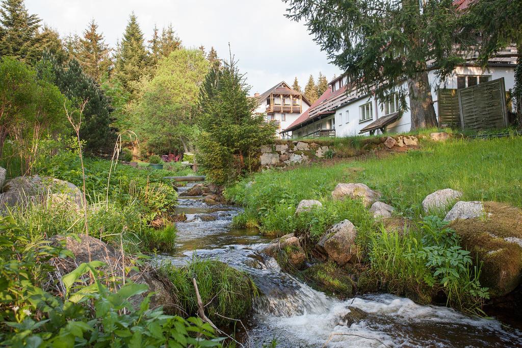 Pension Tannenheim Schluchsee Luaran gambar